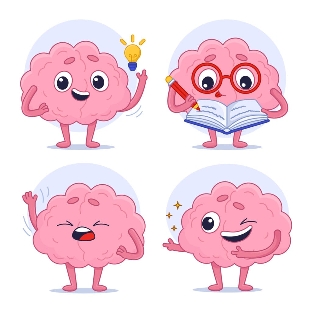 cute and fun illustration of child brain development