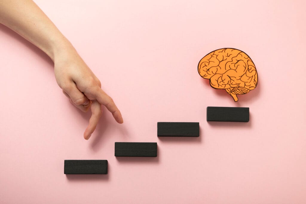 stages of brain development