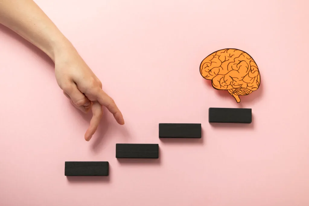 stages of brain development